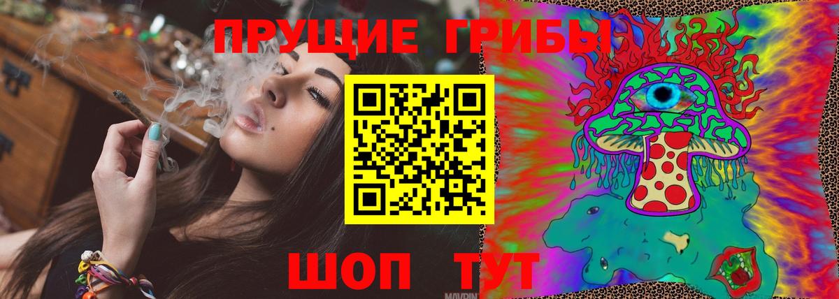 Галлюциногенные грибы Cubensis Вязники
