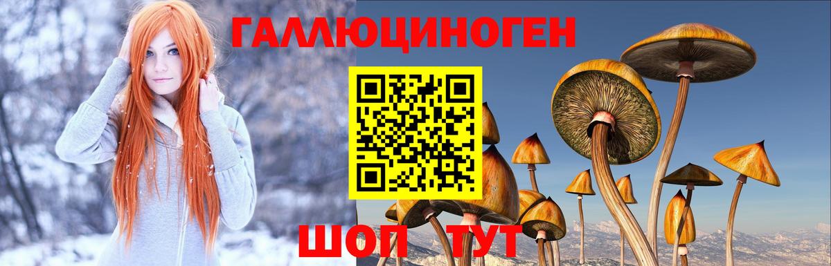 Вязники  хочу наркоту  Вход с VPN  Галлюциногенные грибы мухоморы  Псилоцибиновые грибы GOLDEN TEACHER 